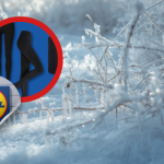 Sezon na chłody otwarty – sprawdź bieliznę termiczną z Lidla i nie daj się zimie