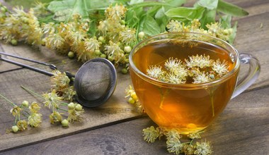 Sezon na lipę. Domowy syrop z kwiatów lipy sprawdzi się przy przeziębieniu