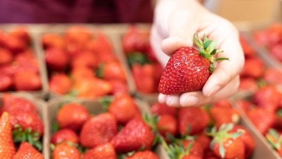 Sezon na truskawki – są w sklepach, na straganach i szczycie niechlubnej listy