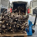 Sezon na zrzuty. Ile można zarobić na porożach? 