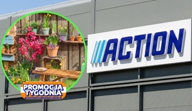 Sezon ogrodowy 2026 w Action: narzędzi i tanie akcesoria ogrodowe