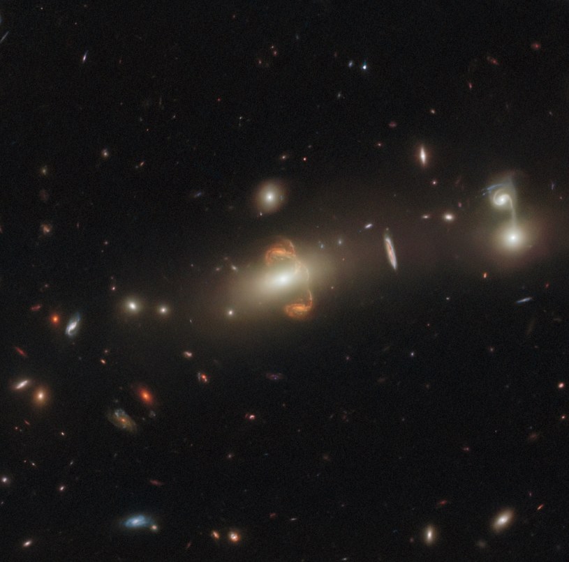 SGAS J143845+145407 poddana wpływowi soczewki grawitacyjnej /ESA/Hubble & NASA, J. Rigby /NASA
