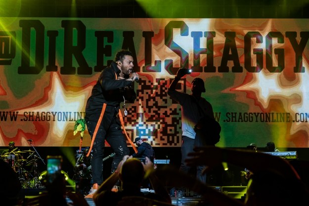 Shaggy na scenie Tauron Life Festival Oświęcim 2017 /Mateusz Moskała/lifefestival.pl /Materiały prasowe