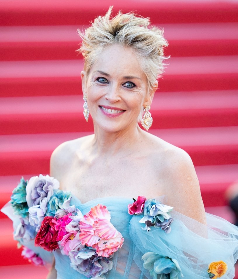 Sharon Stone na festiwalu w Cannes zaprezentowała się w krecji Dolce&Gabbana /Samir Hussein/WireImage /Getty Images