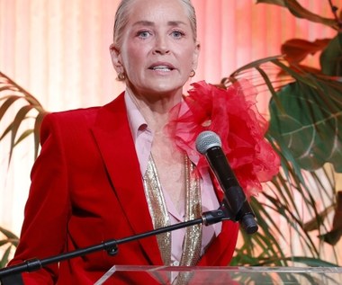Sharon Stone oskarża Hollywood. "Byłam na marginesie przez 20 lat"
