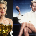 Sharon Stone wyznaje prawdę o rozbieranej scenie: "Dałam w twarz reżyserowi"