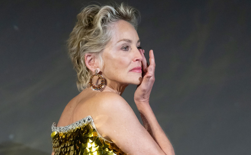 Sharon Stone zdecydowała się na poruszające wyznanie /Andreas Rentz /Getty Images
