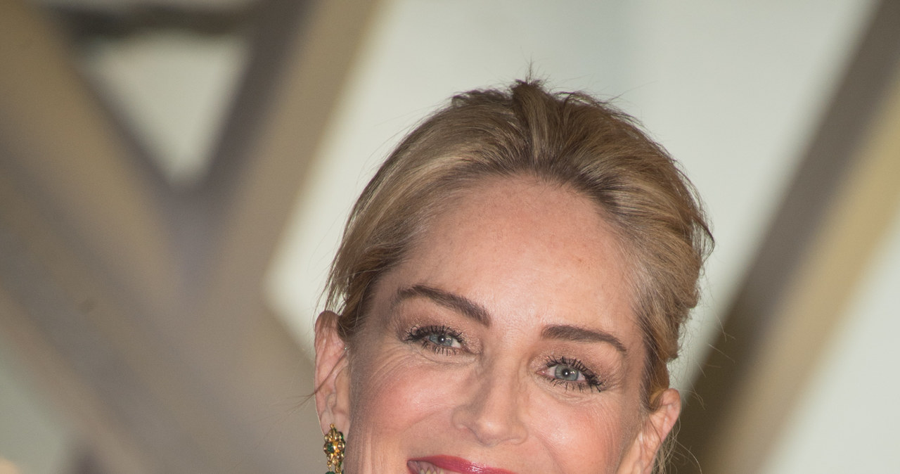 Sharon Stone /Dominique Charriau /Getty Images