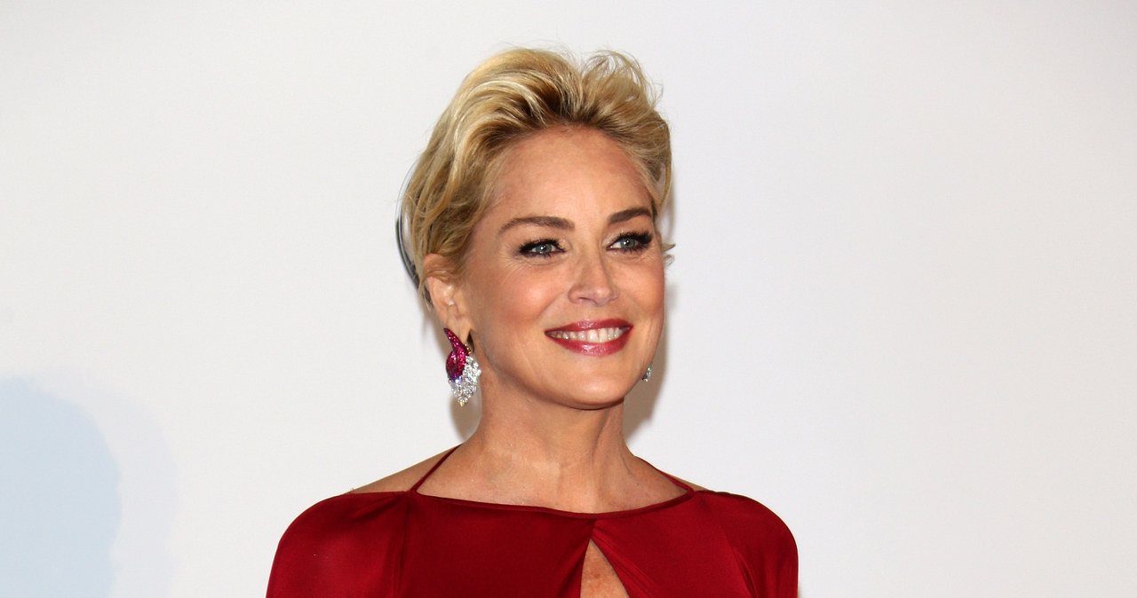 Sharon Stone /Vittorio Zunino Celotto /Getty Images