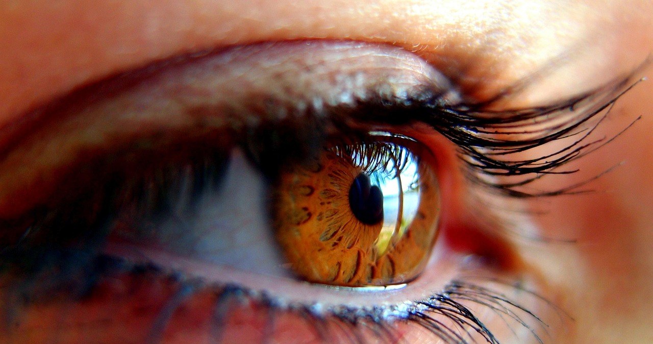 Що використовувати, щоб ваші вії були густими та здоровими? Ці домашні засоби дійсно працюють /pixabay.com