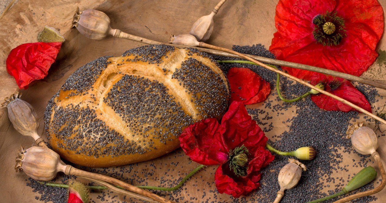 Щоб макове насіння було безпечним у домашній випічці, важливо звертати увагу на його якість та спосіб приготування /pixabay.com