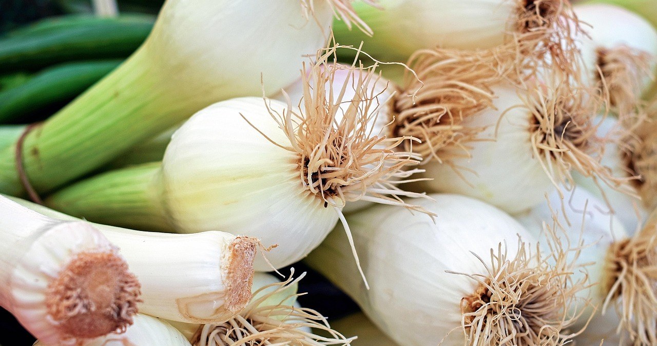 Щоб отримати рясний і здоровий урожай цибулі, досвідчені городники радять не нехтувати підготовкою перед її висадкою /pixabay.com