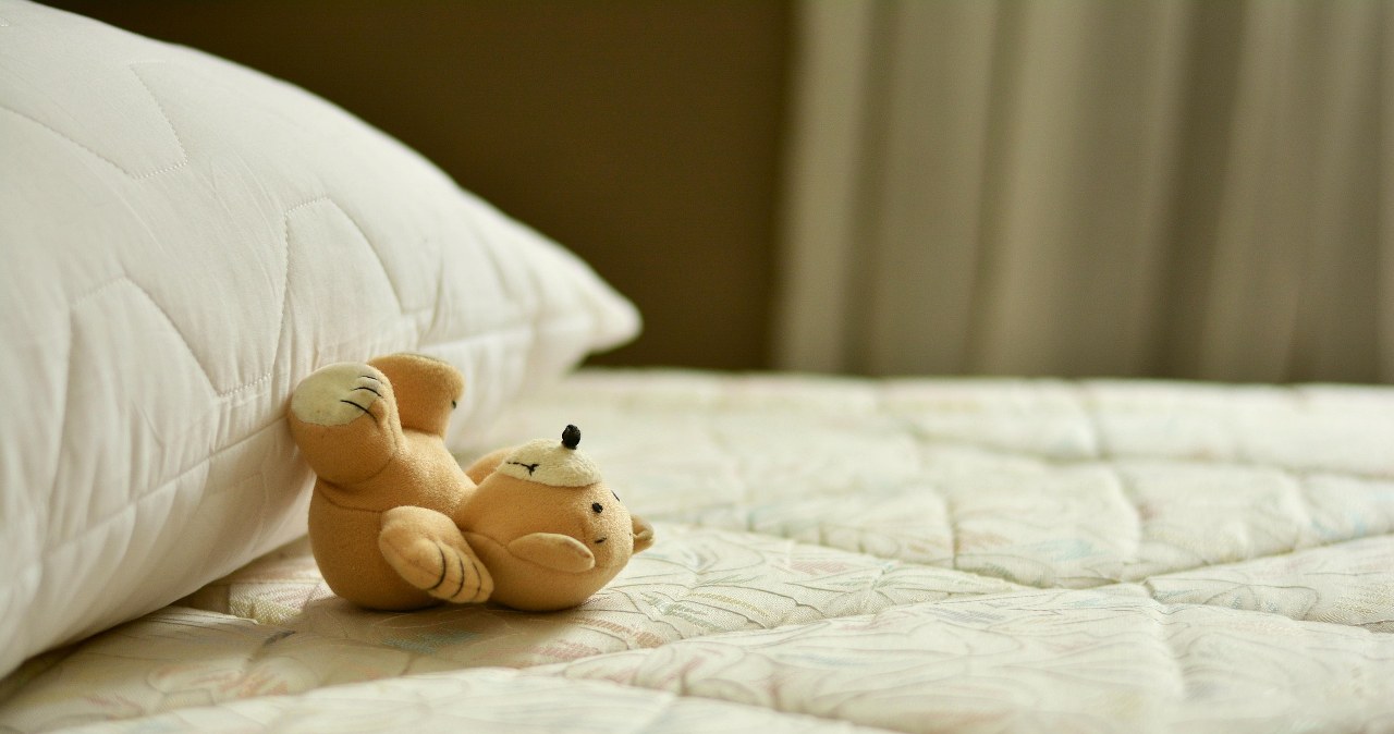 Щонайменше раз на рік освіжайте пухові подушки /pixabay.com