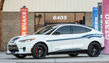 Shelby Mustang Mach-E GT - bardziej sportowy z wyglądu