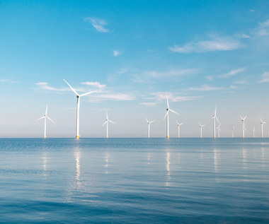 Shell chce budować wiatraki na Bałtyku. Chce jedenastu koncesji
