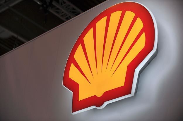 Shell potwierdził wycofanie się z projektu Baltic LNG /AFP