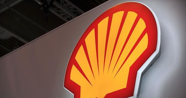 Shell potwierdził wycofanie się z projektu Baltic LNG /AFP
