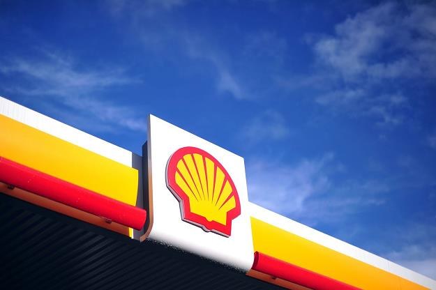 Shell zapowiada zwolnienia setek pracowników i chwali się zyskami /AFP