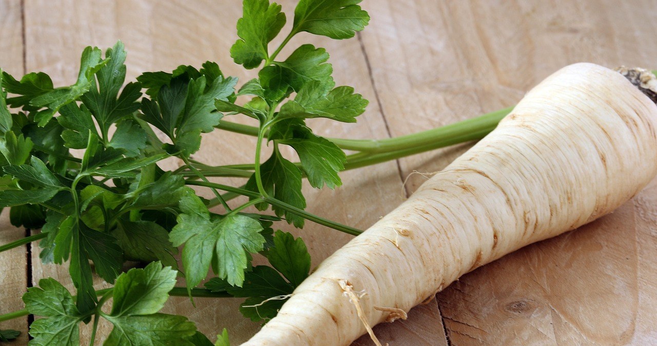 Схожі, але різні: чому корінь петрушки часто плутають з пастернаком та як їх відрізнити? /pixabay.com
