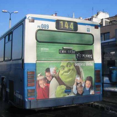 Shrek na krakowskim autobusie, fot. Business Consulting Sp. z o.o. /Archiwum