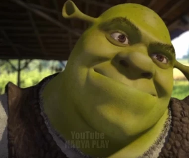 Shrek zagościł w wielkiej produkcji. Tego się nie spodziewaliście