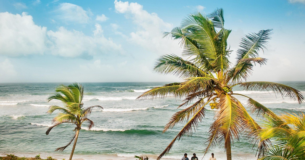 Шрі-Ланка чекає на гостей /pixabay.com