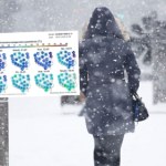 Siarczysty mróz i śnieżyce uderzą w weekend. Alert dla trzech regionów