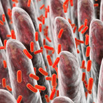 SIBO - nadmiar bakterii w jelicie cienkim
