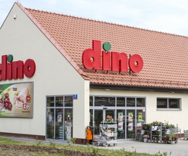 Sieć Dino otworzy sklep online? Są pierwsze przymiarki 