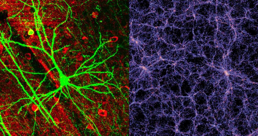 Sieć neuronów i kosmiczna sieć są do siebie podobne /materiały prasowe