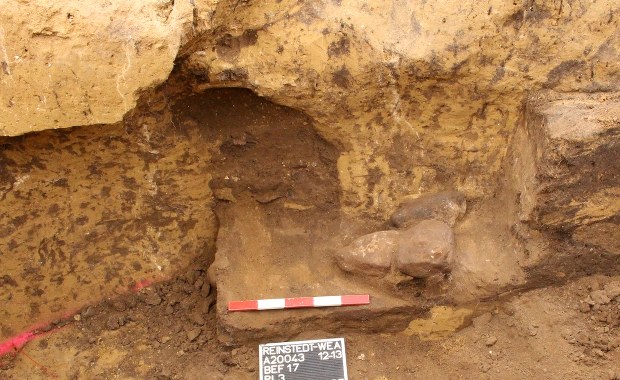 Sieć tajemniczych tuneli pod Europą. Do czego służyły?