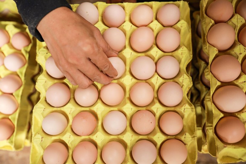 Sieci handlowe w niektórych okresach sprzedają jaja swoim klientom taniej niż je kupują od producentów /AFP