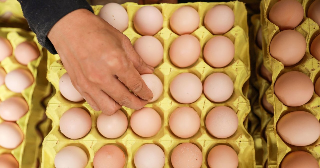 Sieci handlowe w niektórych okresach sprzedają jaja swoim klientom taniej niż je kupują od producentów /AFP