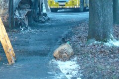 Siedem aut marki BMW spłonęło na lawecie