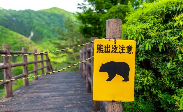 Siedem ofiar śmiertelnych i ponad 100 rannych. Japończycy żyją w ciągłym strachu