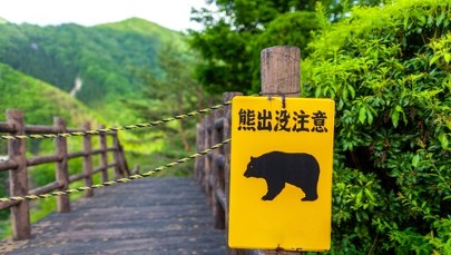 Siedem ofiar śmiertelnych i ponad 100 rannych. Japończycy żyją w ciągłym strachu