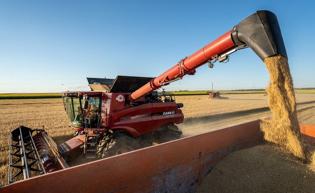 Siedem śledztw ws. importu ukraińskiego zboża 