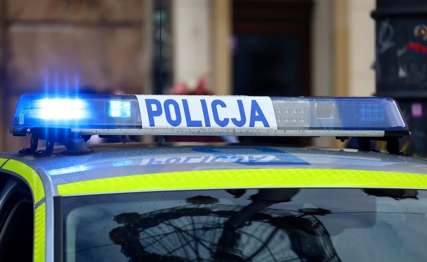 ​Siedmiolatek przypadkowo uruchomił samochód i potrącił młodszą siostrę