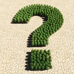 Sierpień, 10 pytań i Ty. Trudny QUIZ, komplet punktów zdobędzie tylko mistrz!