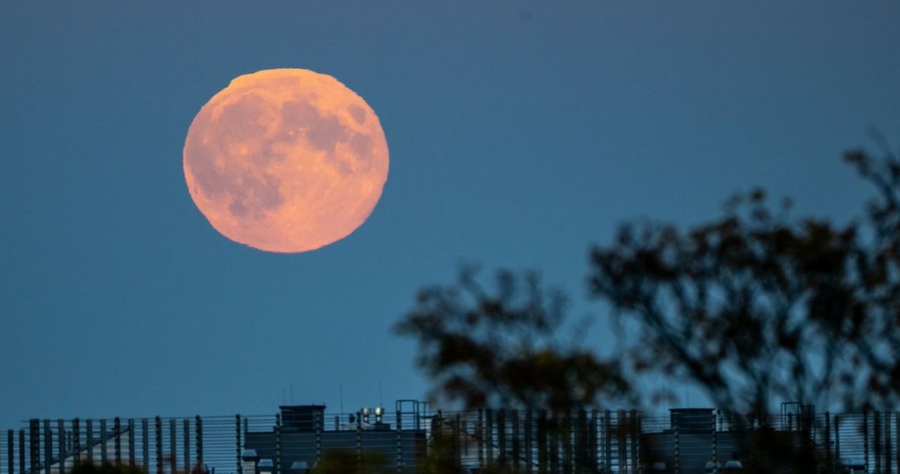 Sierpniowa pełnia Księżyca to jedno z najpiękniejszych zjawisk astronomicznych tego lata /Przemek Świderski /Reporter