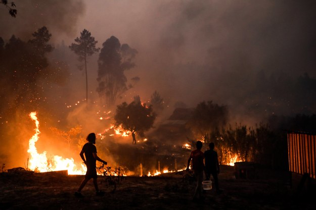 Sierpniowy pożar lasu w portugalskiej miejscowości Urqueira /PAULO CUNHA /PAP/EPA