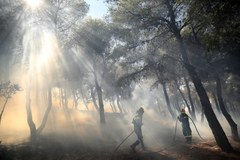 Sierpniowy pożar w okolicach Aten