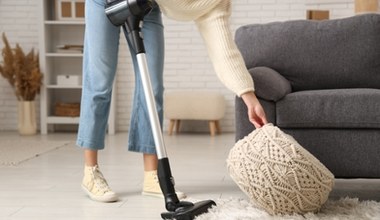 Sierść z dywanu nie daje się odkurzyć? Tak szybko i bez wysiłku się jej pozbędziesz