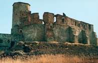 Siewierz, ruiny zamku /Encyklopedia Internautica