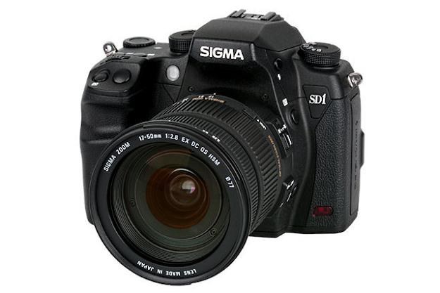 Sigma SD1 Merrill /materiały prasowe