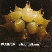 Silicon Album
