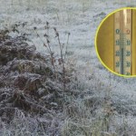 uprawa roślin Silne mrozy i brak śniegu niepokoją rolników. "To może spowodować wzrost cen"