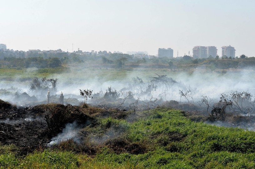 Silnie zanieczyszczone jezioro Bellandur /MANJUNATH KIRAN/ /AFP