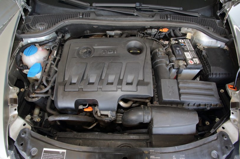 Silnik 2.0 TDI słynie z niezawodności, ale wymagał gwarancyjnej wymiany turbosprężarki już przy 23 tys. km. /Motor
