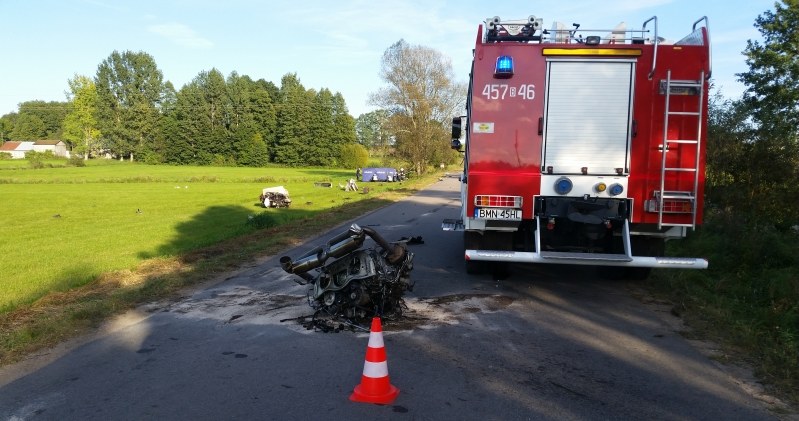 Silnik na drodze. Auto uderzyło w drzewa widoczne w tle... /Policja